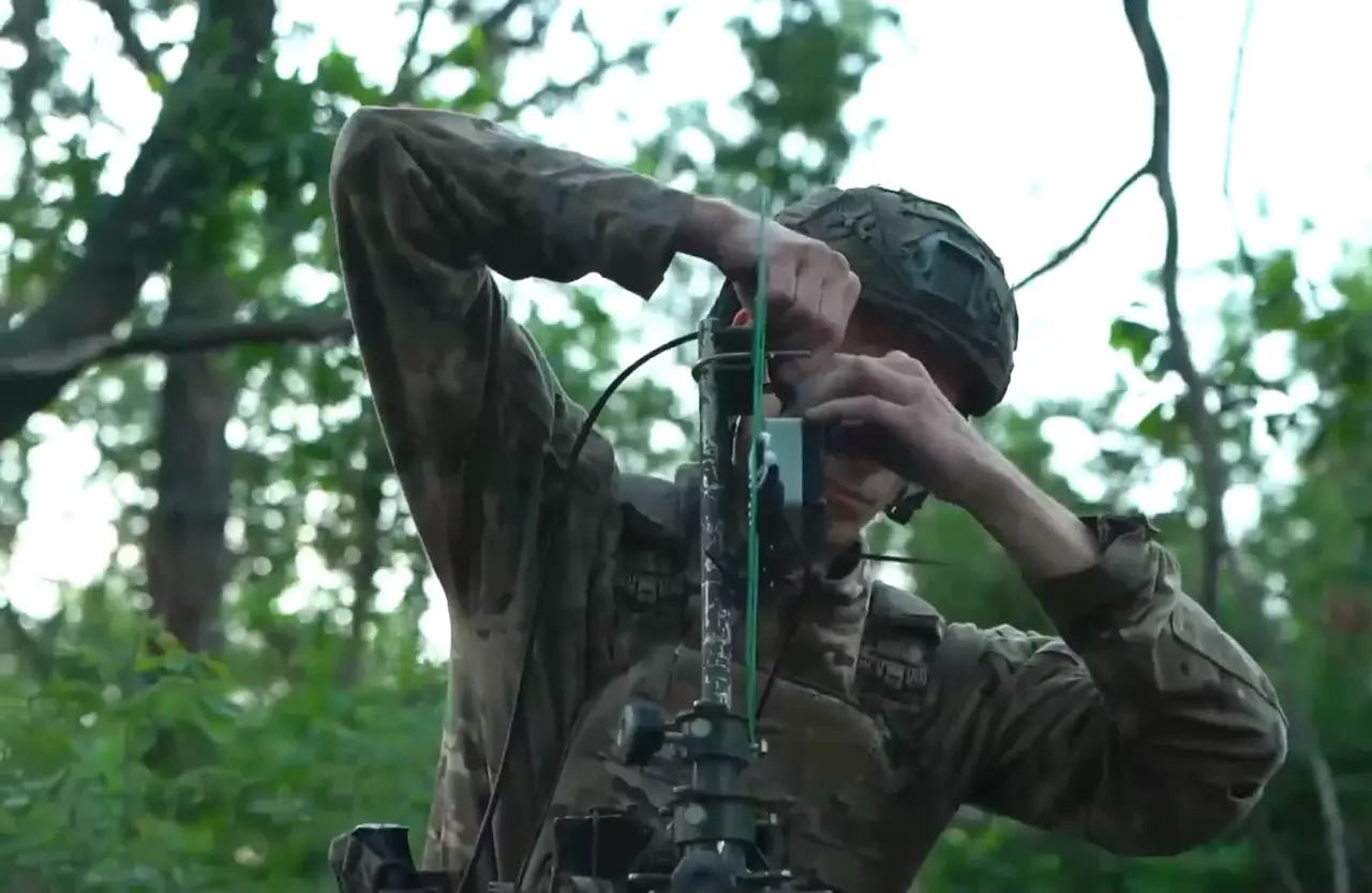 Bear Archery -Bear Archery 481187d4c0 rub