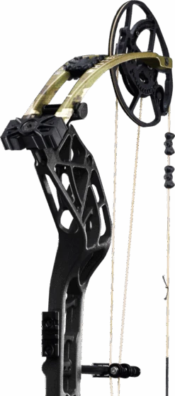 Whitetail INT Compound Bow -Bear Archery batch 1 bear archery whitetail int compound bow av55a40146l 4