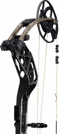 Whitetail INT Compound Bow -Bear Archery batch 1 bear archery whitetail int compound bow av55a40176l 4