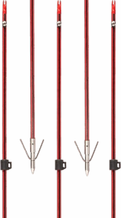 Wasp Arrow With Piranha Long Barb XT Point