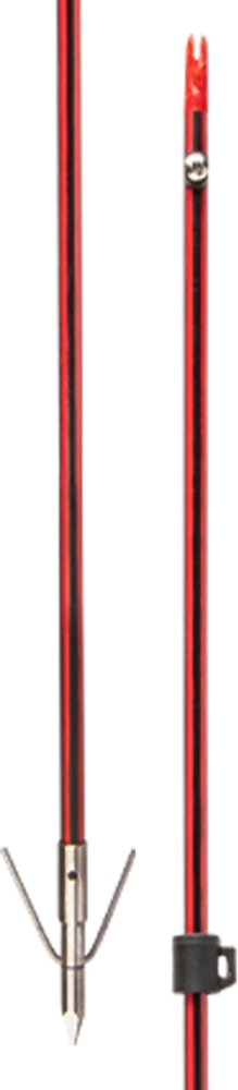 Wasp Arrow With Piranha XT Point