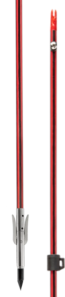 Wasp Arrow With Sting-A-Ree Point