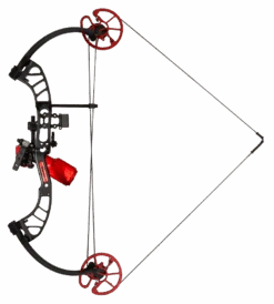 Shore Runner EVW Bowfishing Bow -Bear Archery cajun bowfishing shore runner evw bowfishing bow bowfishingbow abf23b1205l 9