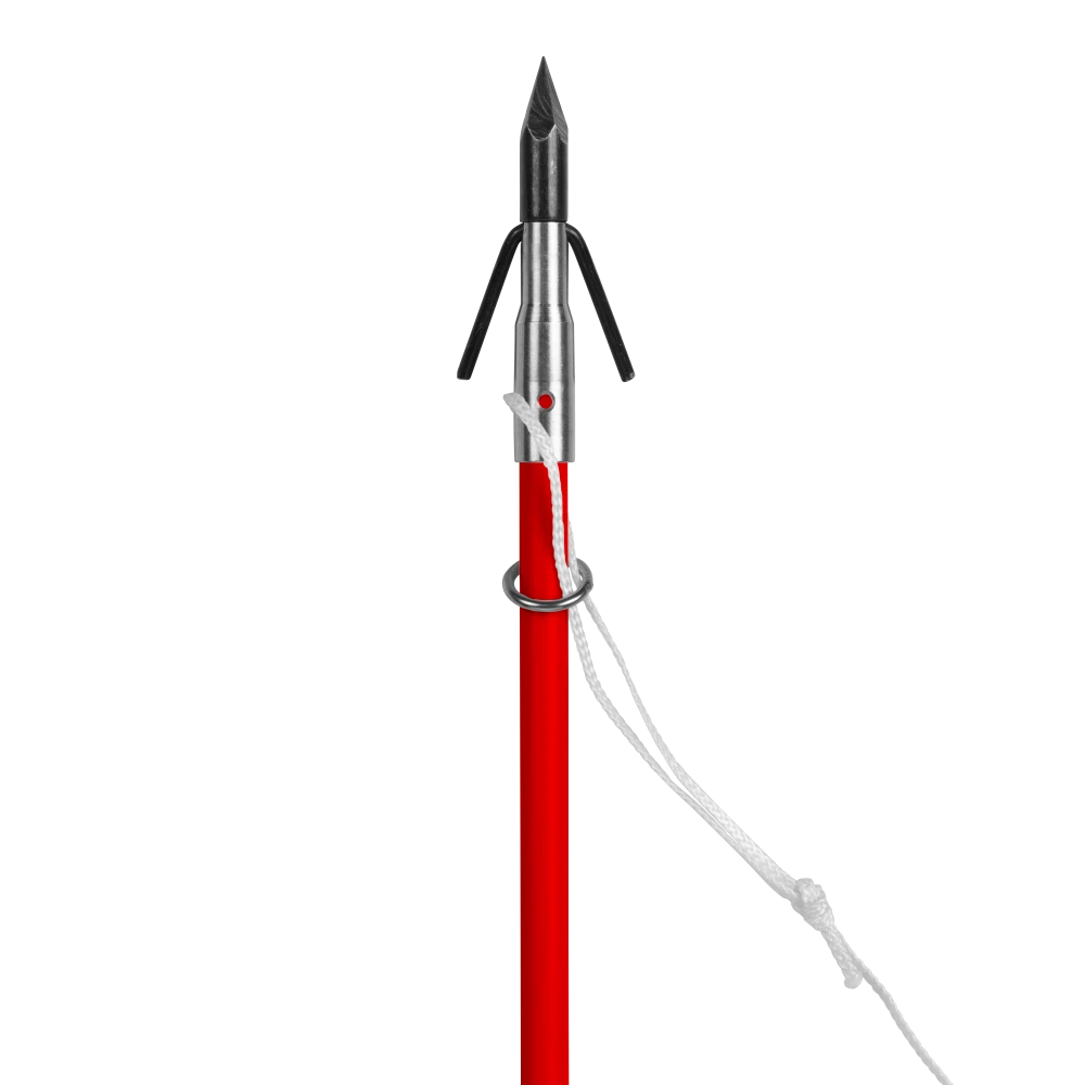 Slide Rings 5 Slide Rings - Image 3