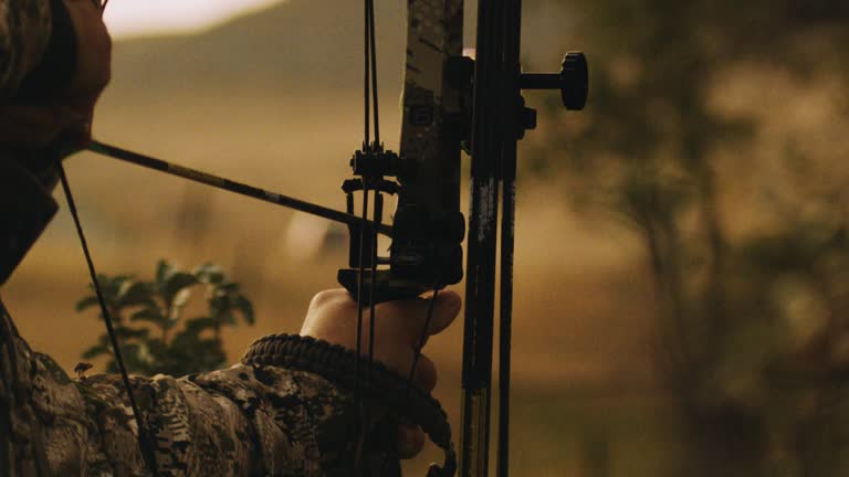 Bear Archery -Bear Archery gettyimages 872845220 640x640 1