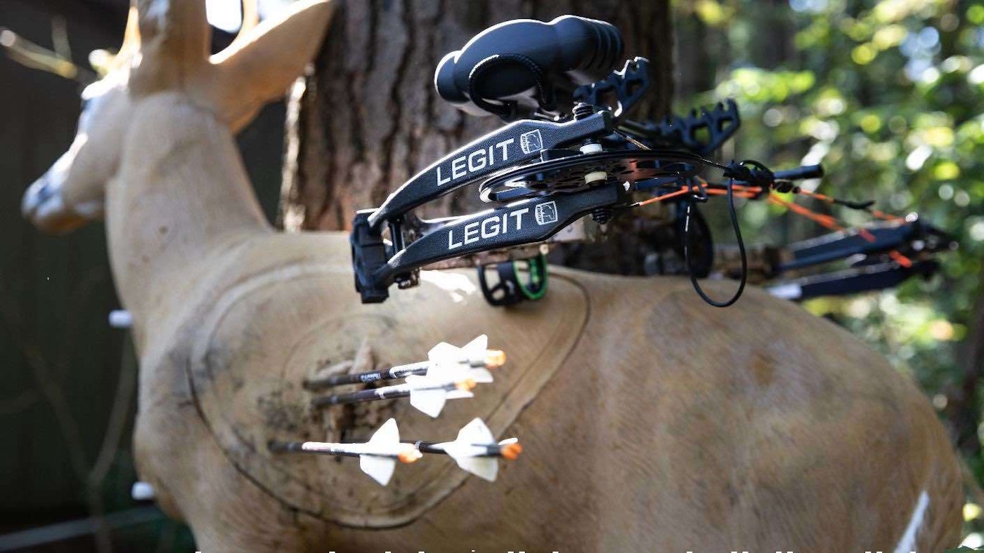 Bear Archery -Bear Archery https www.grandviewoutdoors.com uploads images Legit on 3 D target
