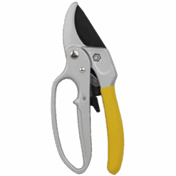Ratcheting Pruner